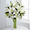 up to 6 Stems