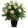 12 White Roses