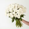 50 White Roses